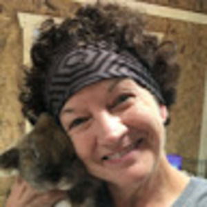 Meet your Posher, Janis